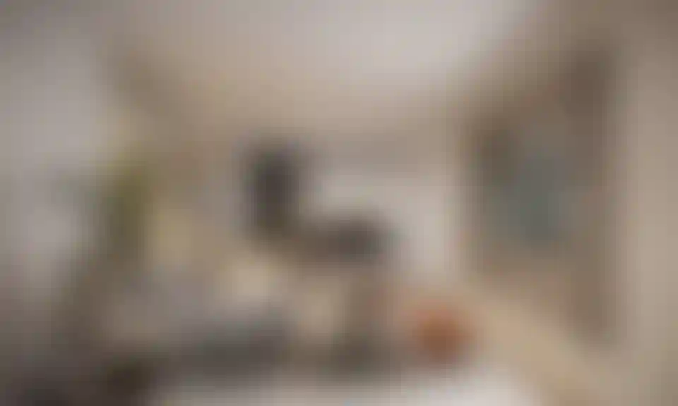 image for main block