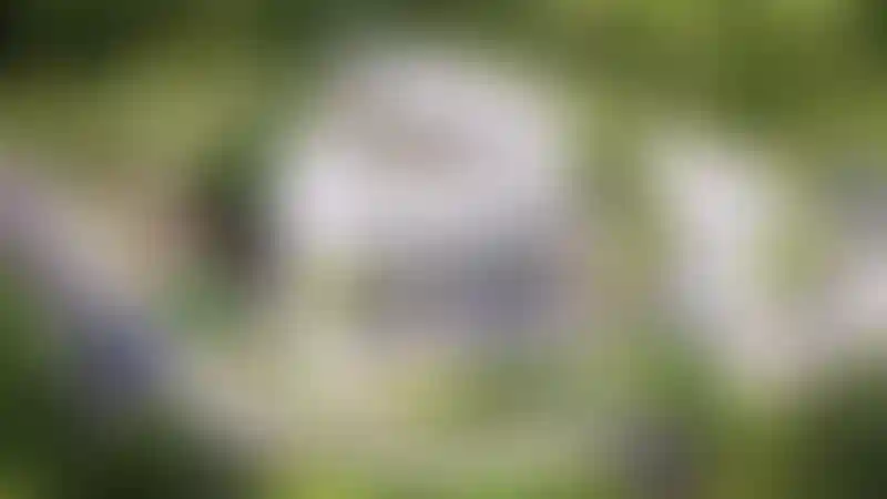 image for main block