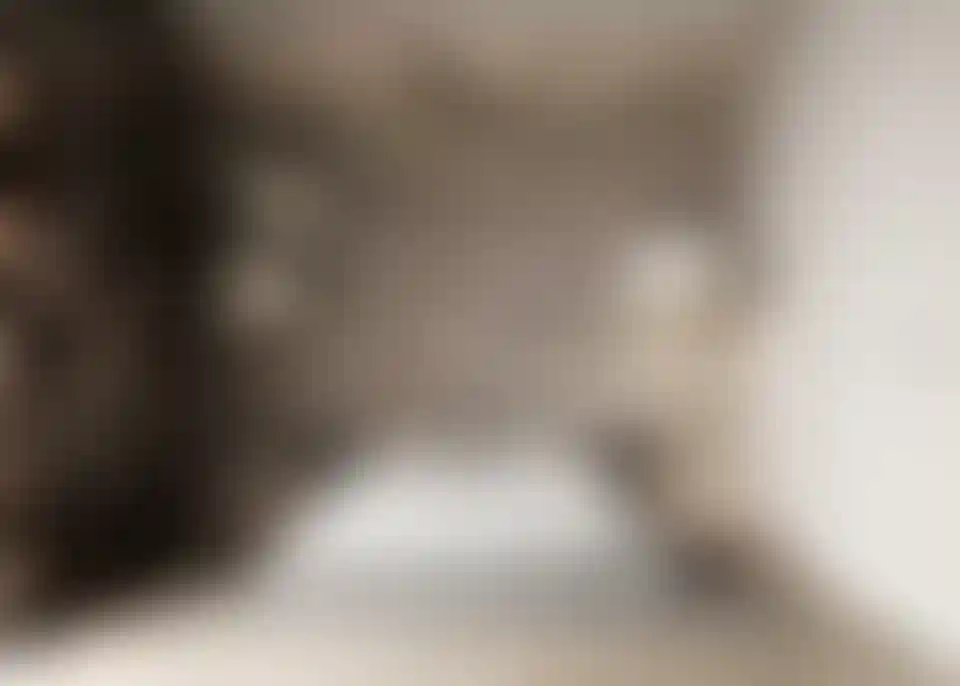 image for main block