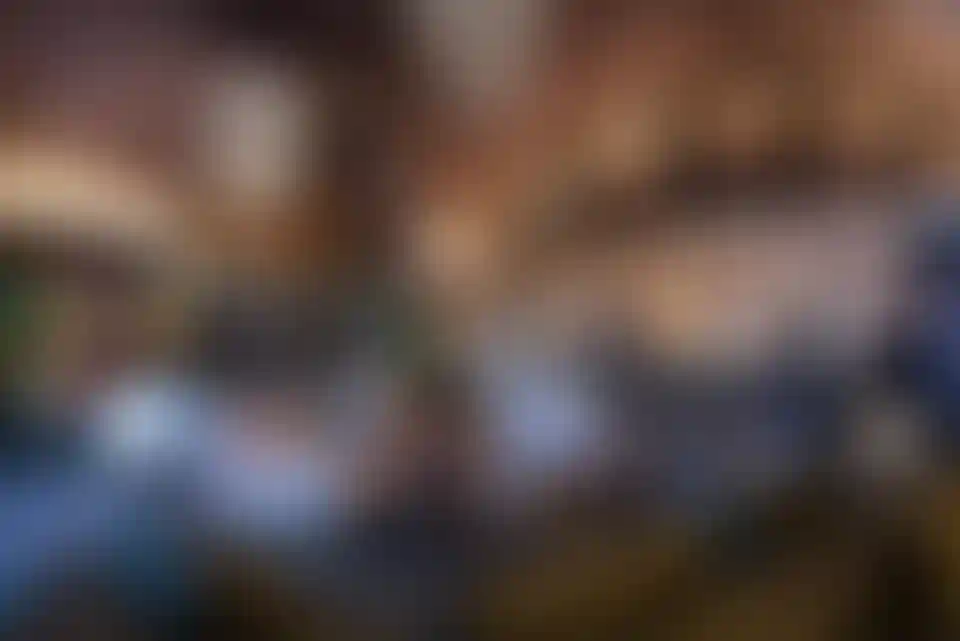 image for main block