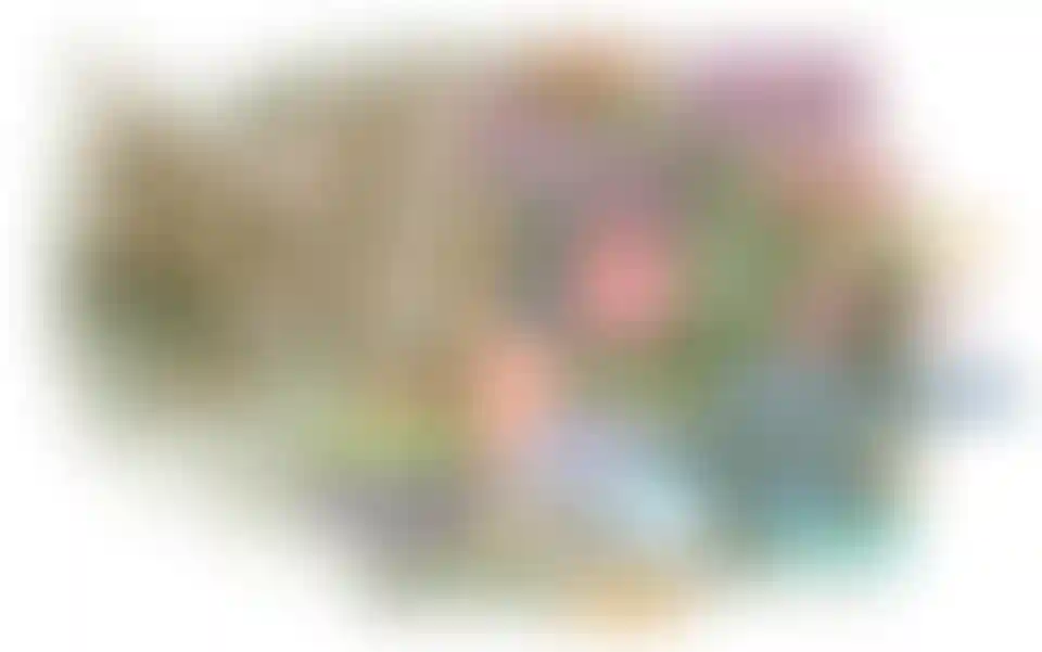 image for main block