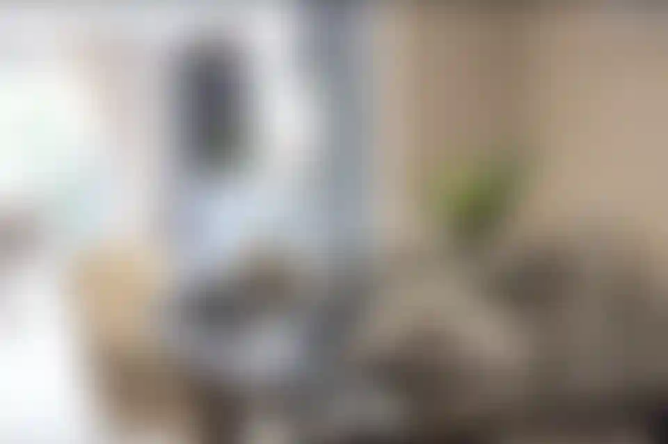 image for main block