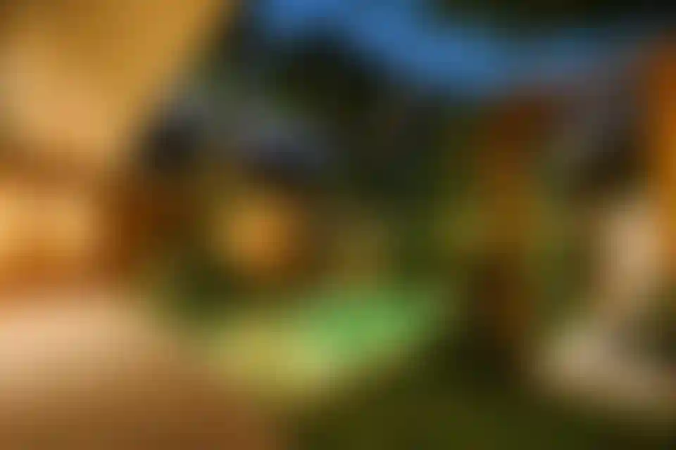 image for main block