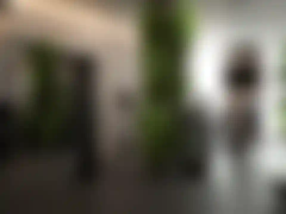 image for main block