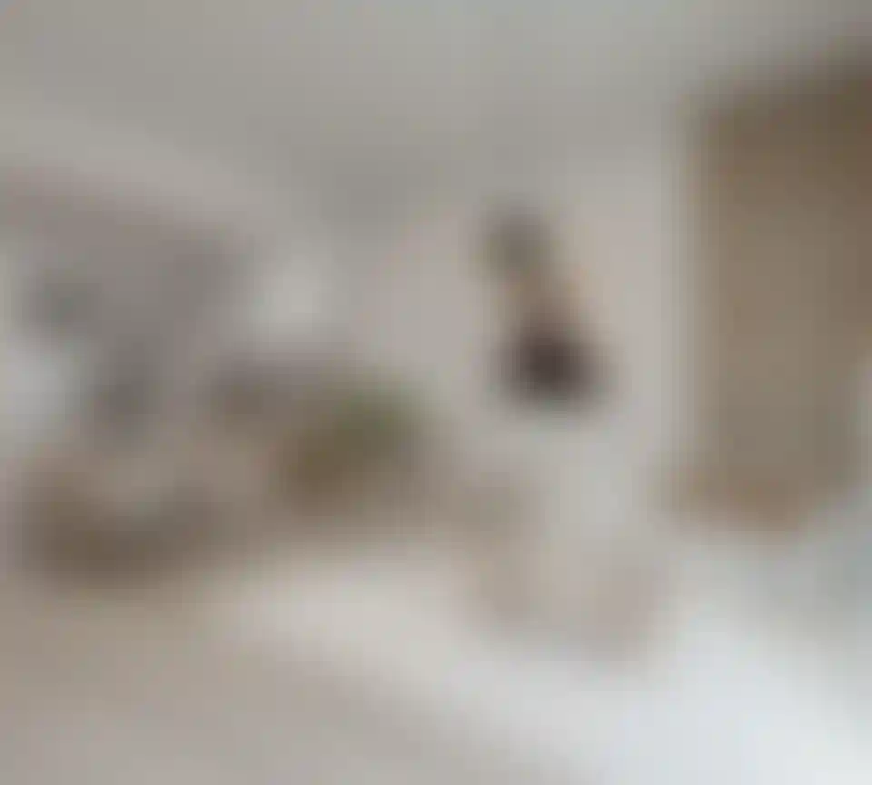 image for main block