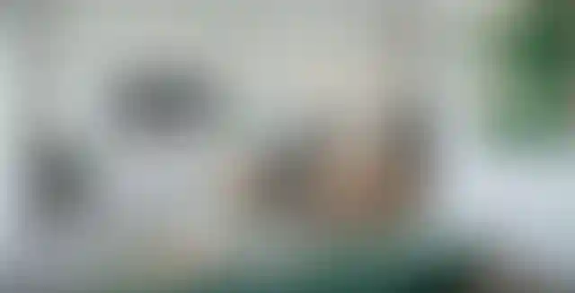 image for main block