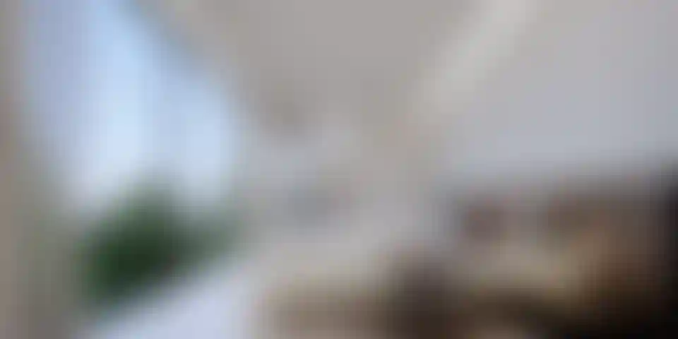 image for main block