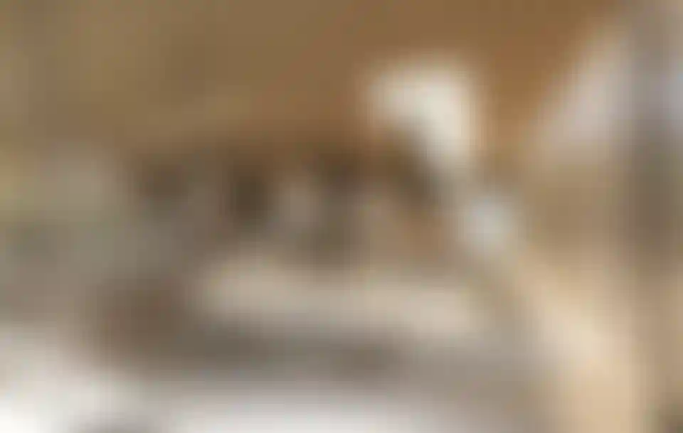 image for main block