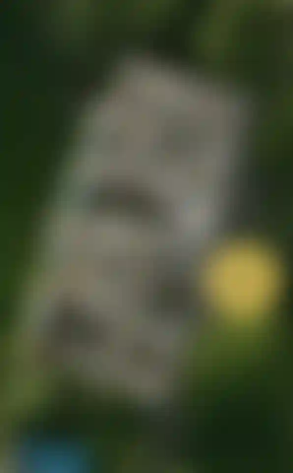 image for main block