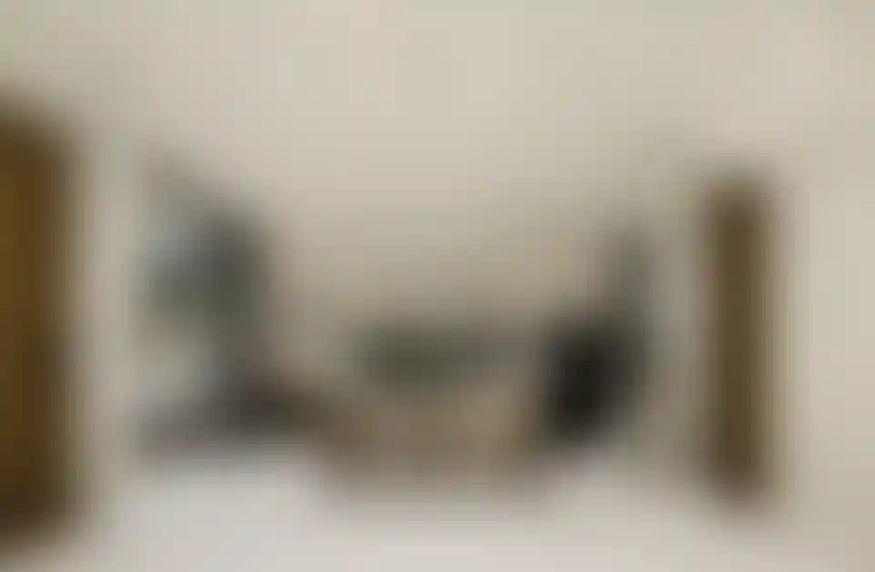 image for main block