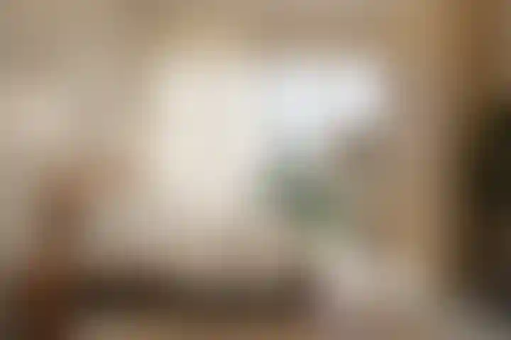 image for main block