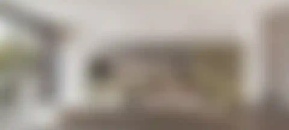 image for main block