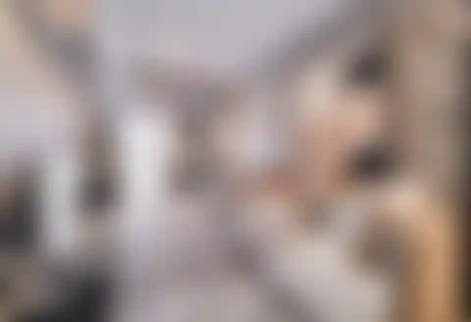 image for main block