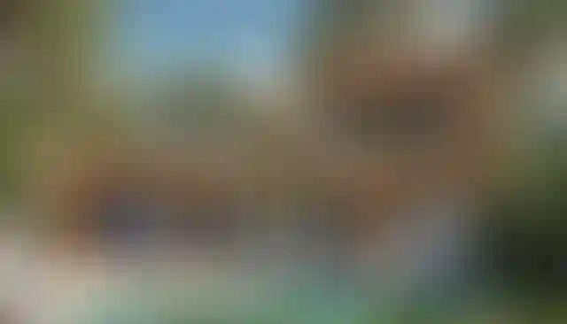 image for main block