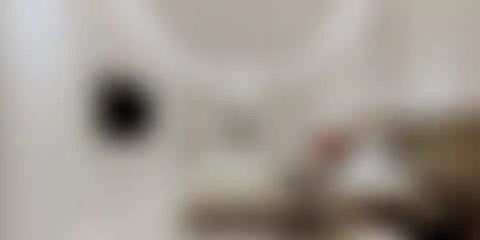 image for main block