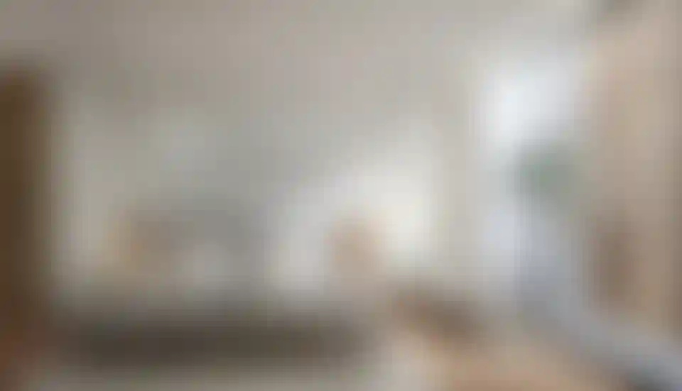 image for main block