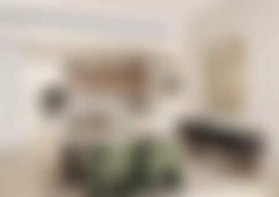 image for main block