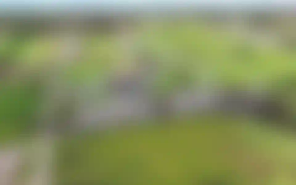 image for main block