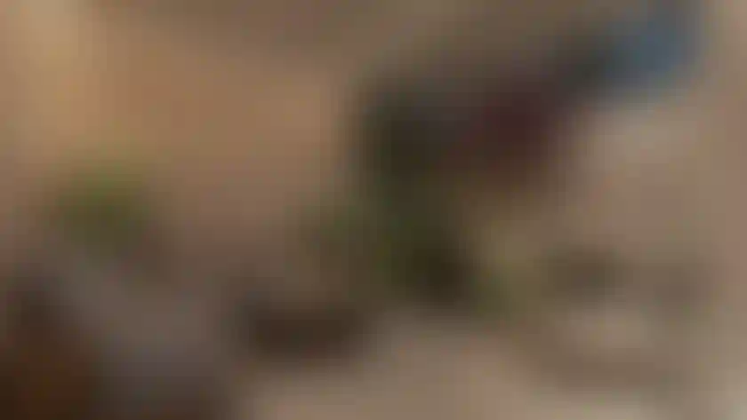 image for main block