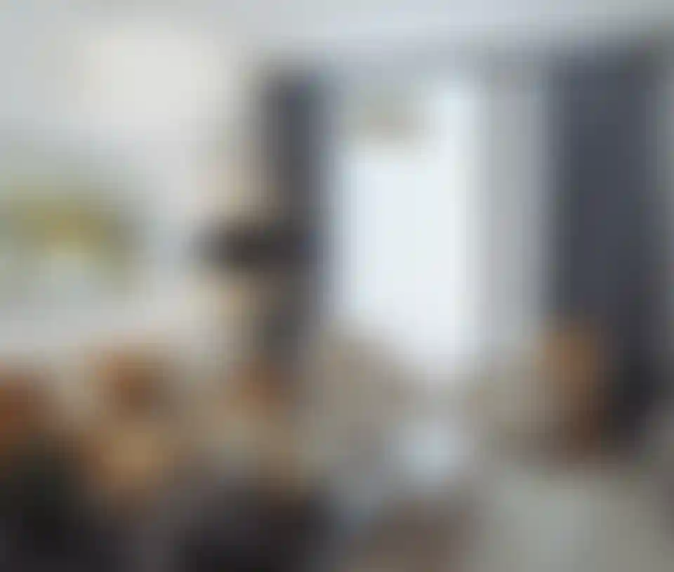 image for main block