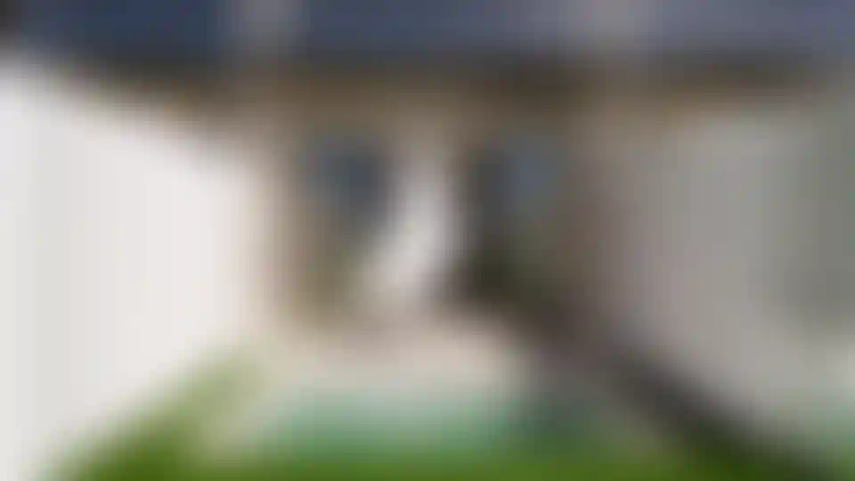 image for main block