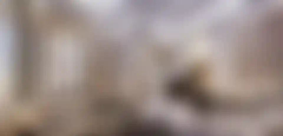 image for main block