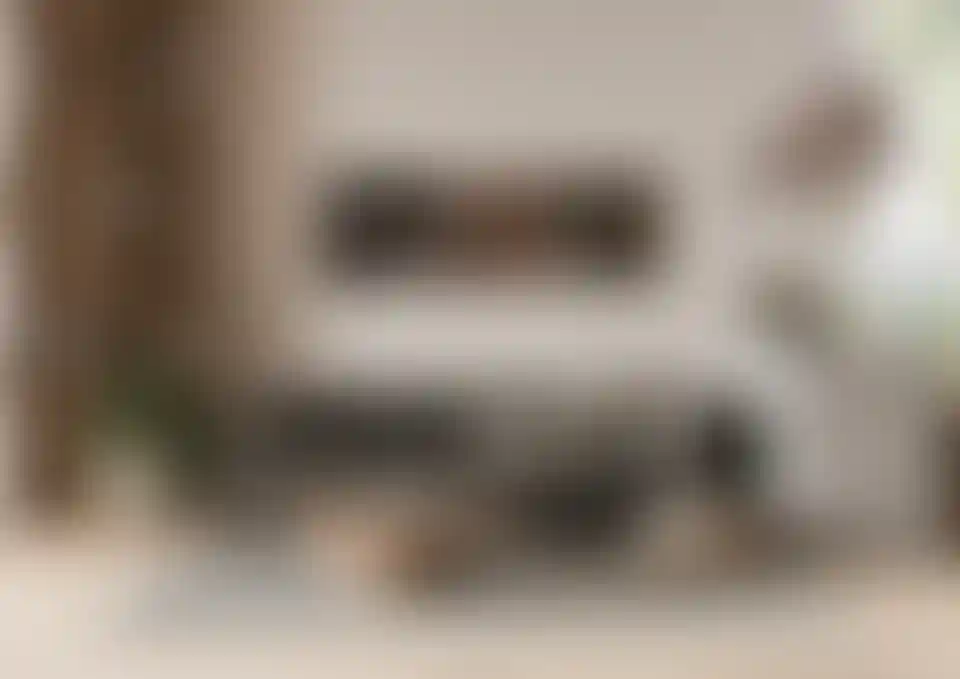 image for main block