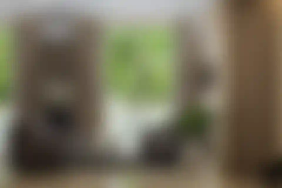 image for main block