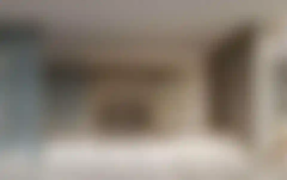 image for main block