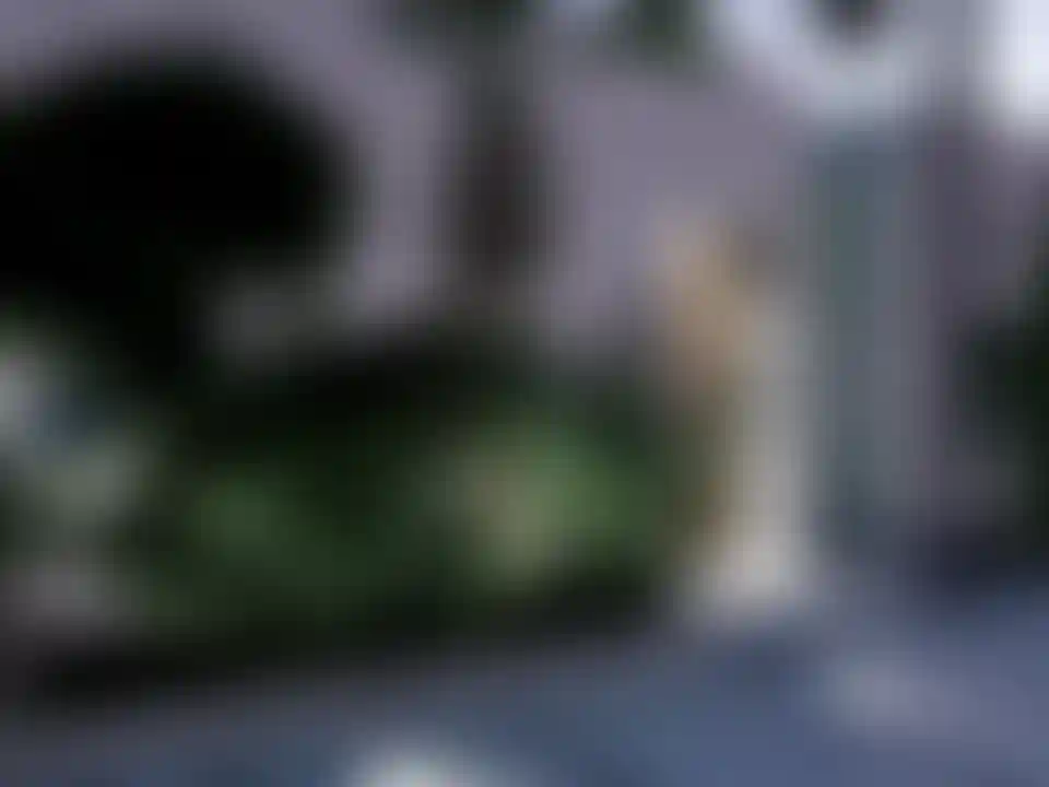 image for main block