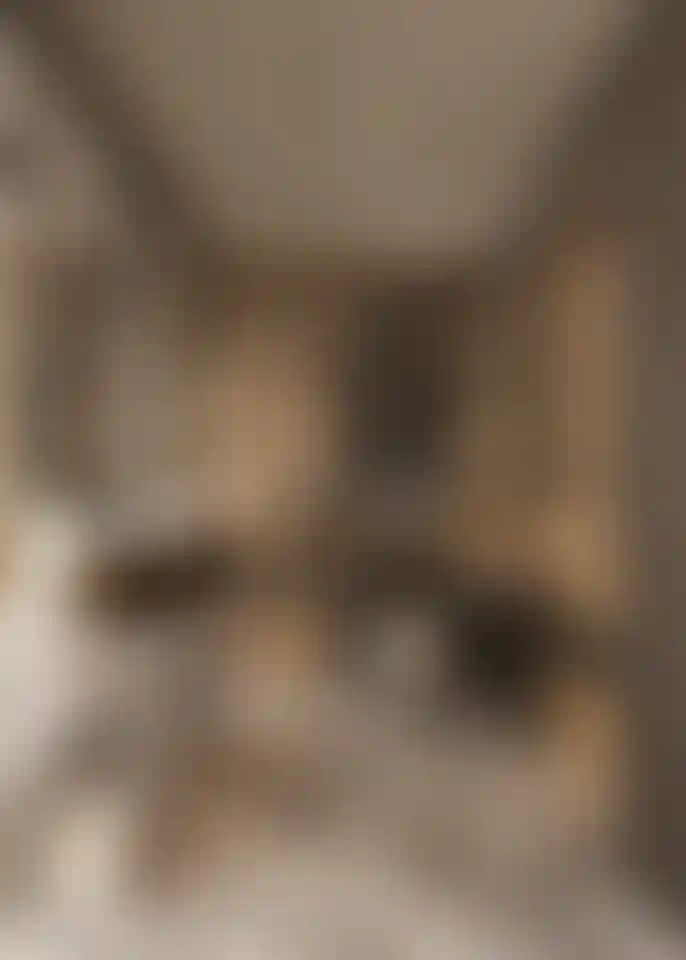 image for main block