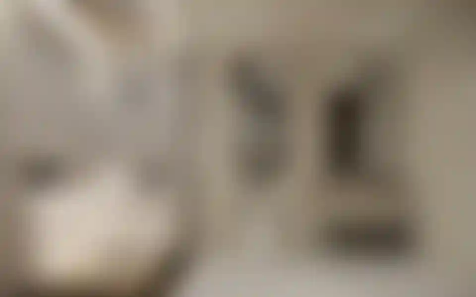 image for main block