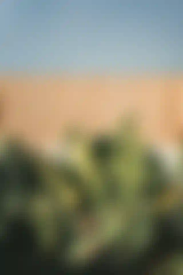 image for main block