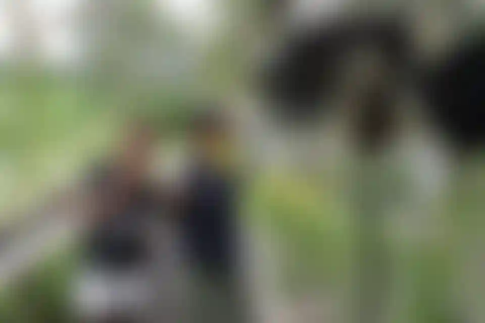 image for main block