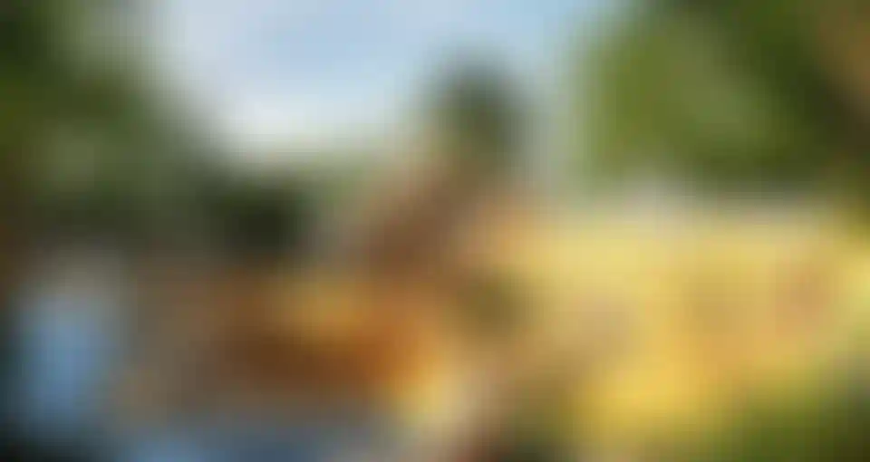 image for main block