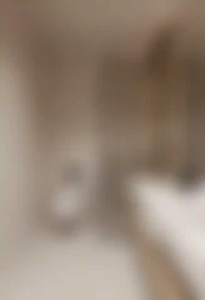 image for main block