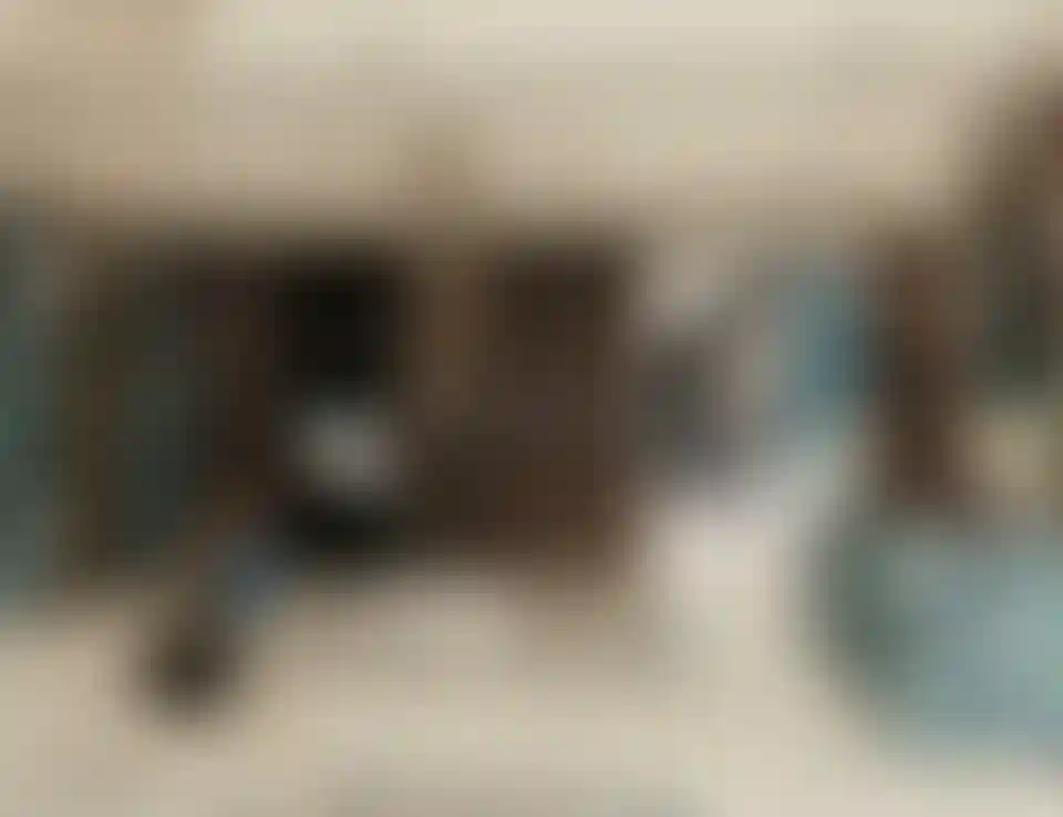 image for main block