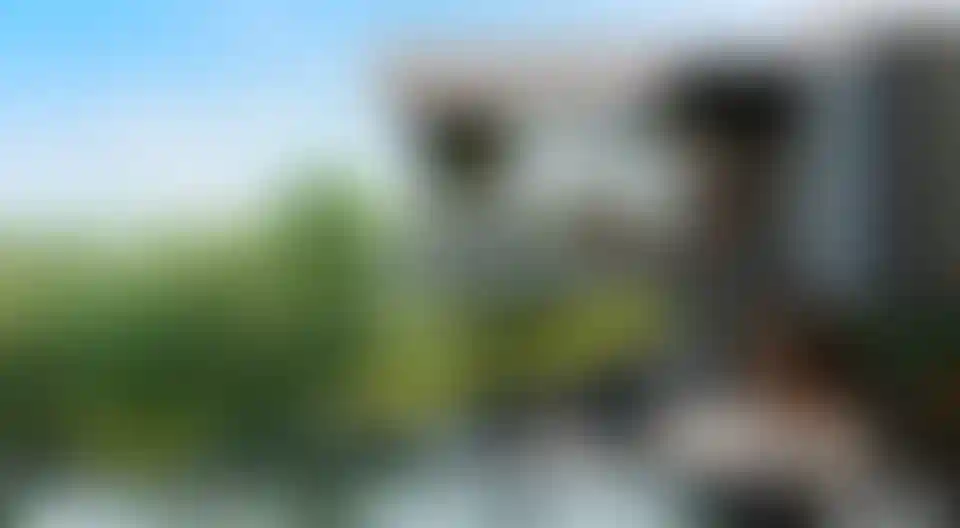 image for main block