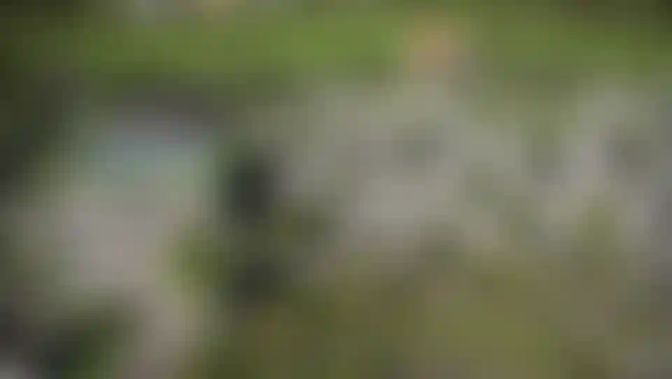 image for main block