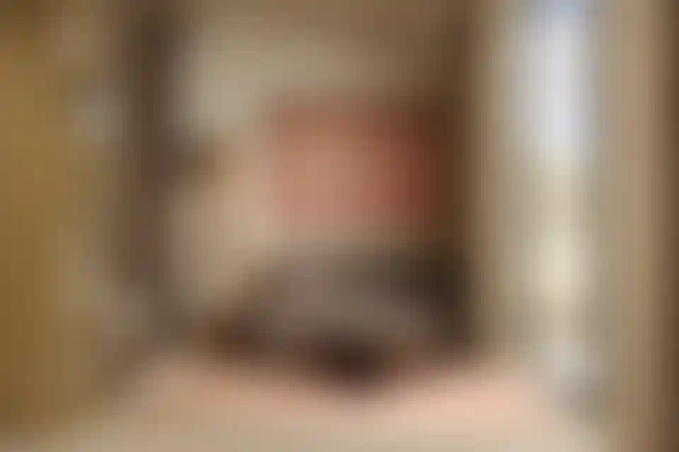 image for main block