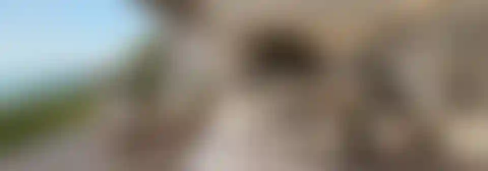 image for main block