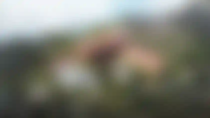 image for main block