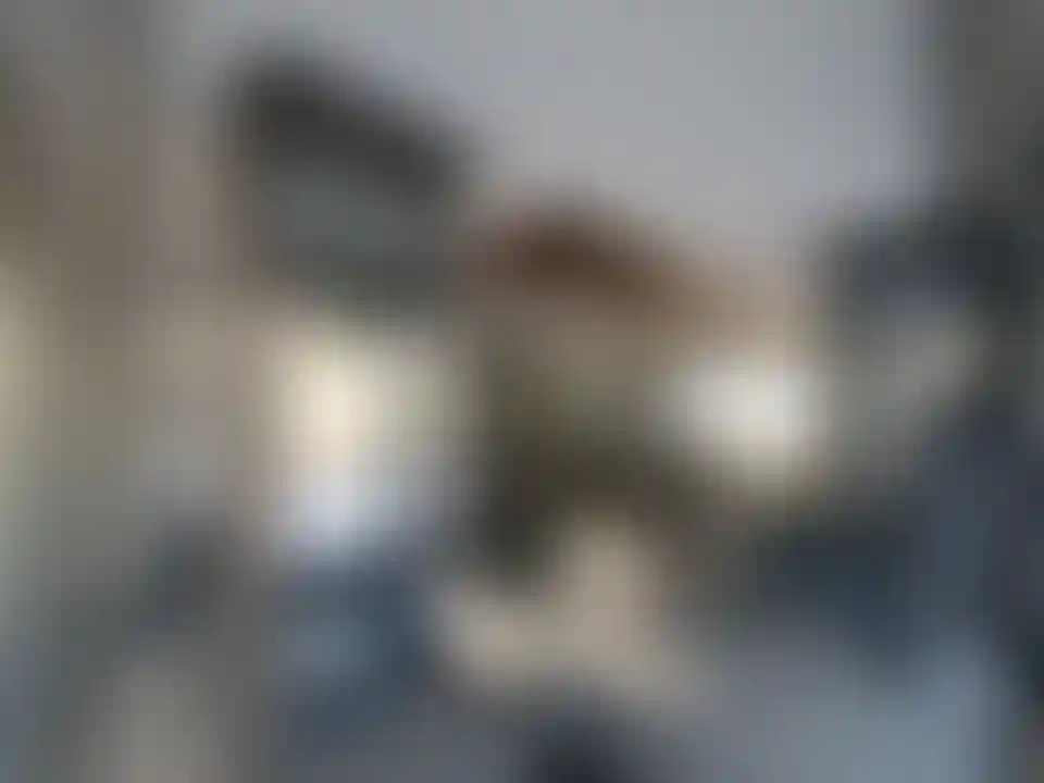 image for main block