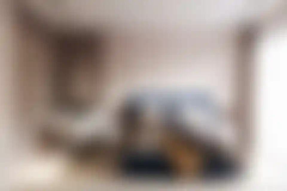 image for main block