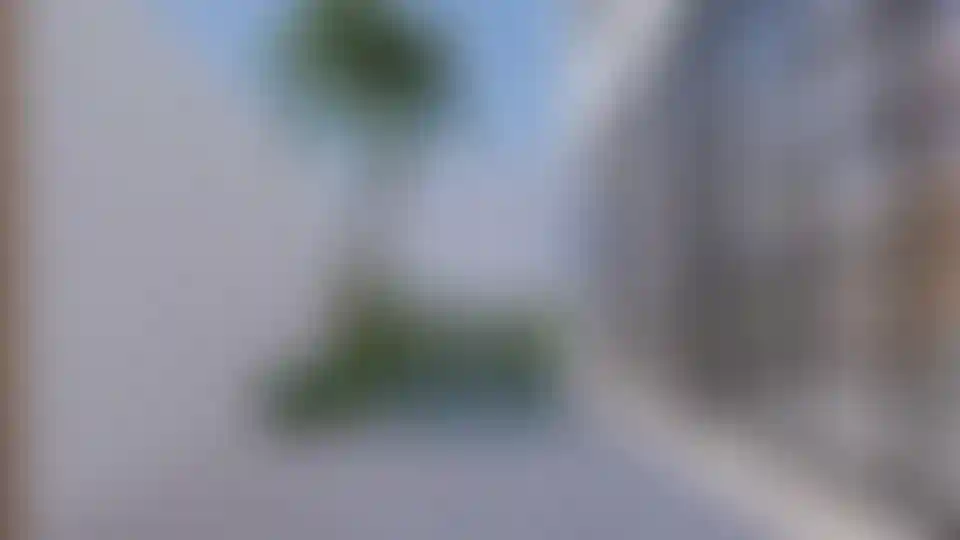 image for main block