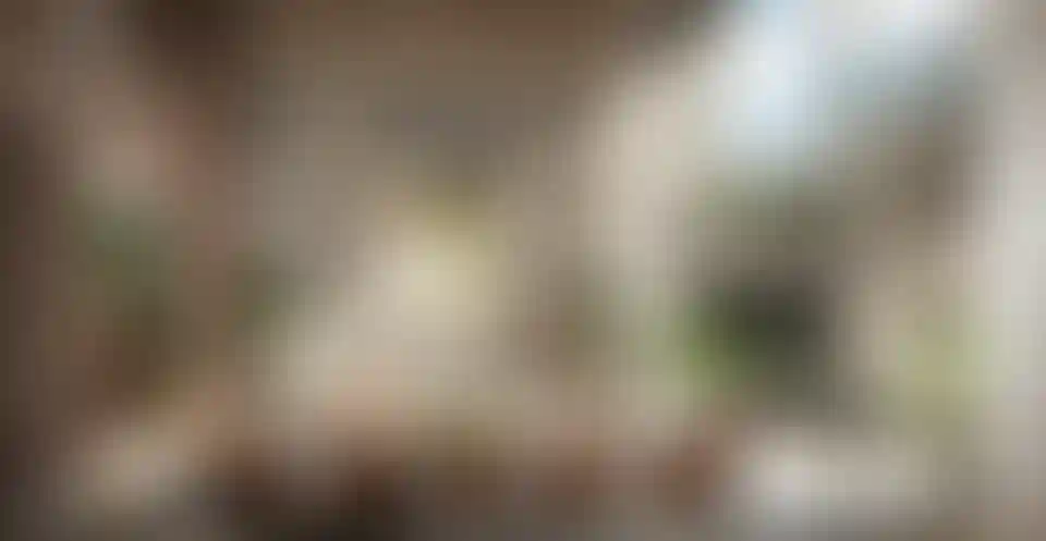 image for main block