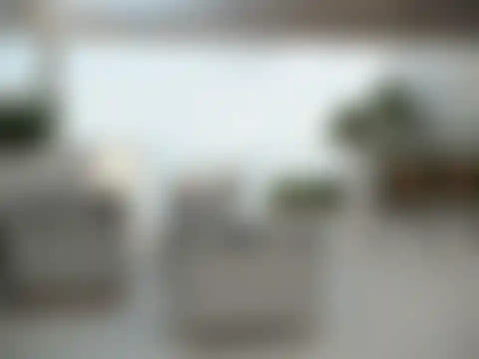 image for main block