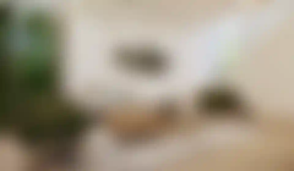 image for main block