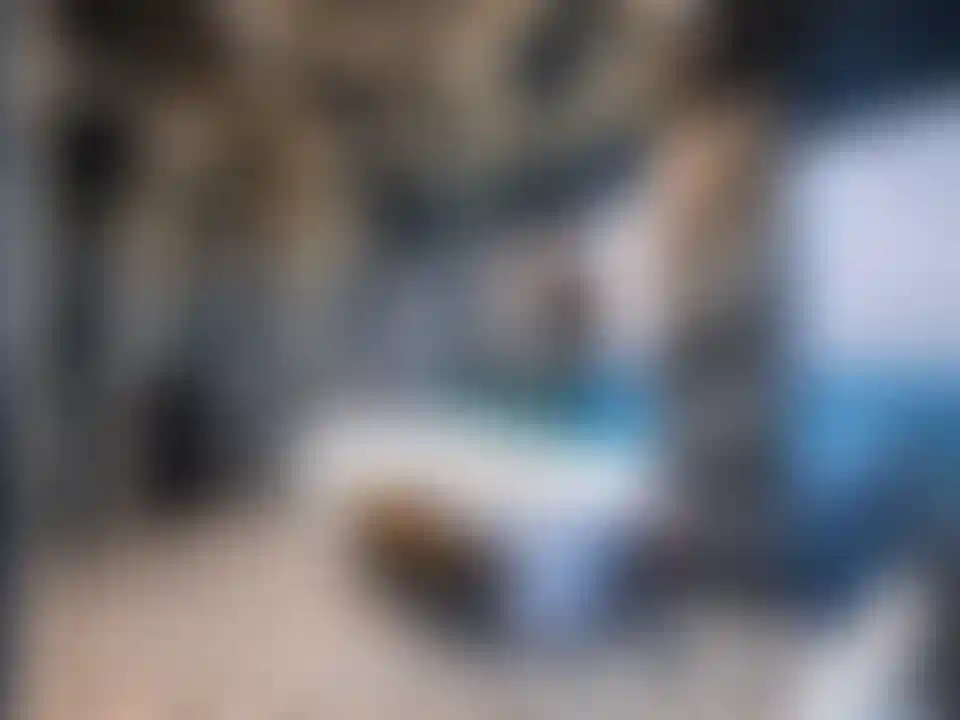 image for main block