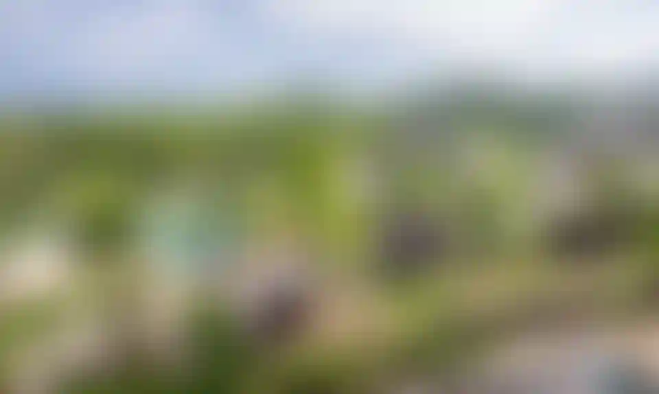 image for main block